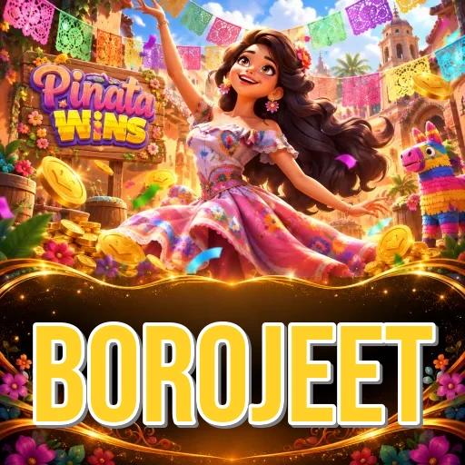 borojeet Expert Team