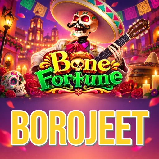 borojeet Security FAQ